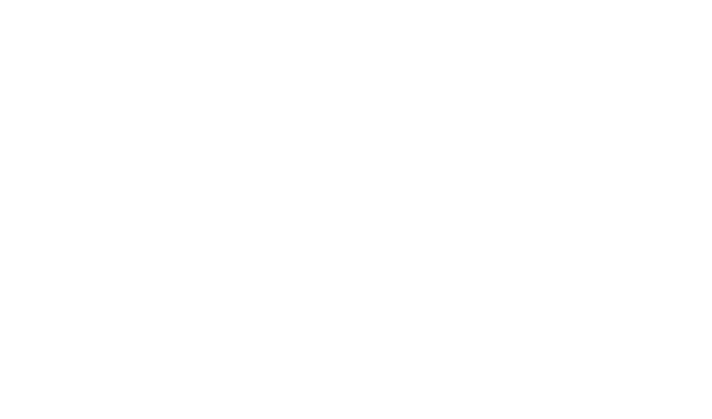 PETRESCU FACTORY – Leather Bags